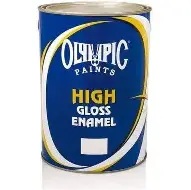 PAINT OLY 5L - CHARCOAL